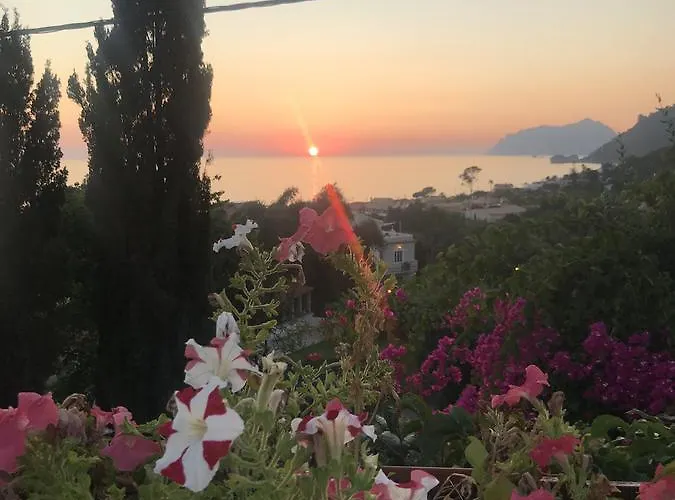 Agios Gordios Stevens On The Hill *